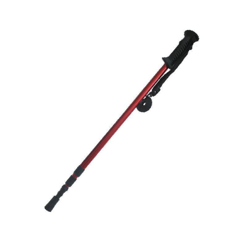 Pohodne palice CLASSIC